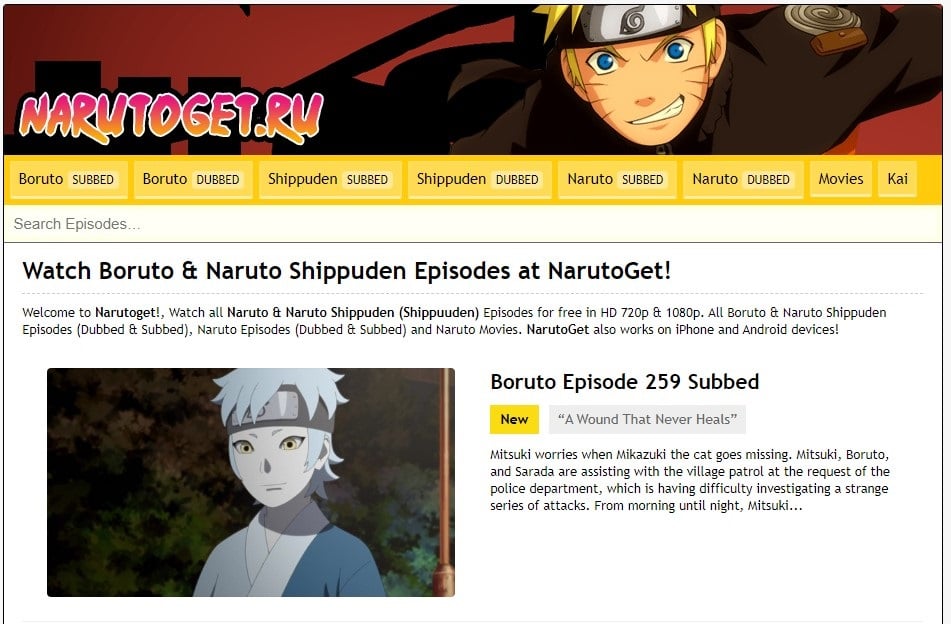 Narutoget overview
