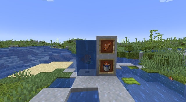 Tropical fish in Minecraft