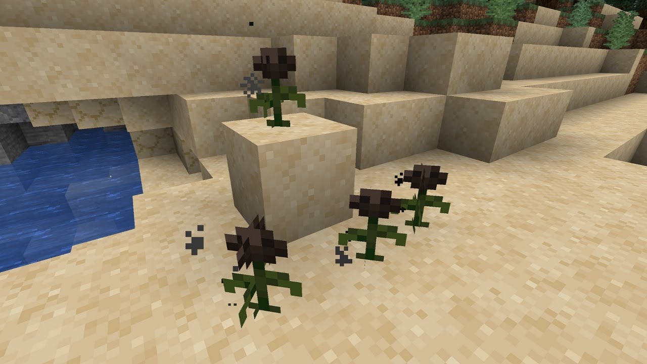 Automatic Wither Rose Farm