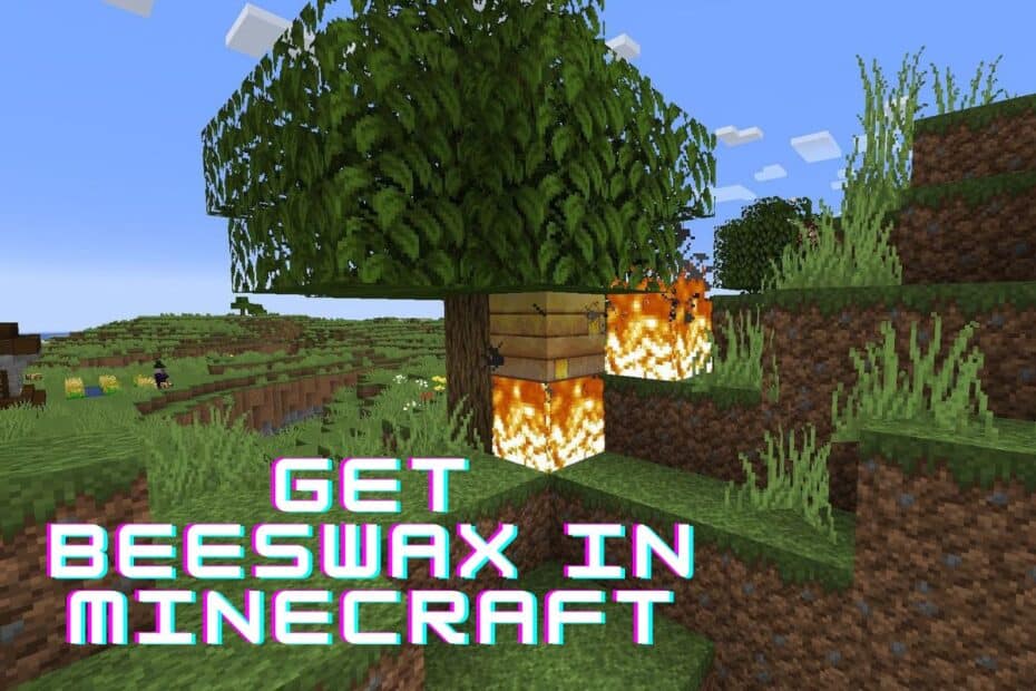 How To Get Beeswax In Minecraft