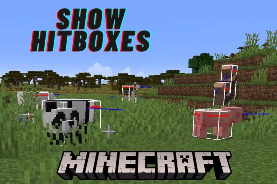 How to Show Hitboxes in Minecraft