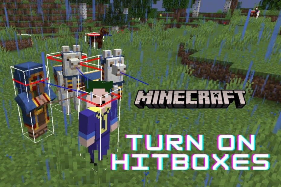 How to Turning on Hitboxes in Minecraft