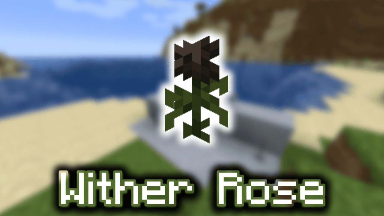 Wither Roses